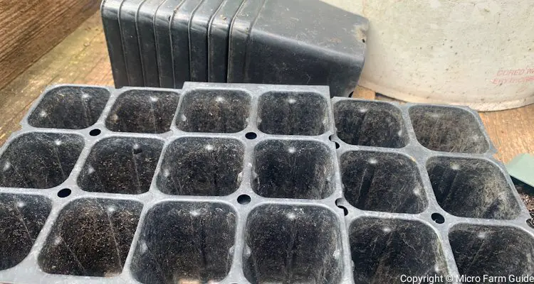 seedling trays and 3 inch pots